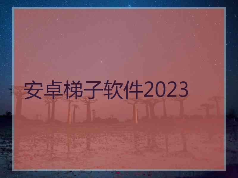 安卓梯子软件2023