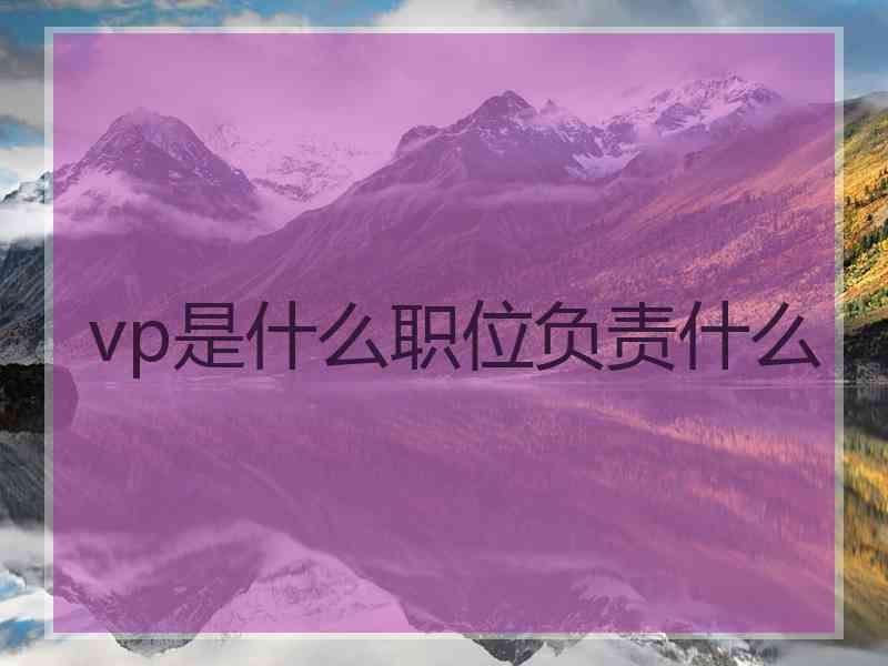 vp是什么职位负责什么