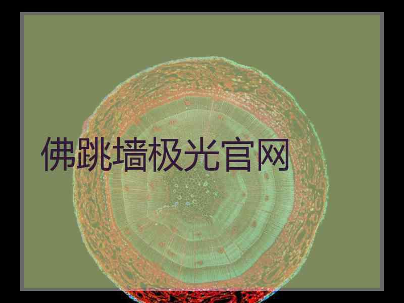 佛跳墙极光官网