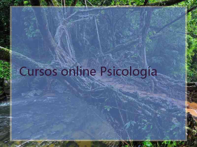 Cursos online Psicología