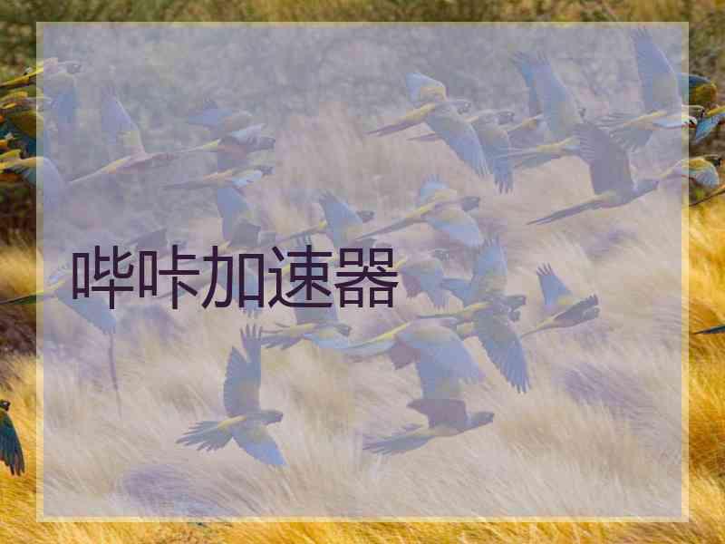 哔咔加速器