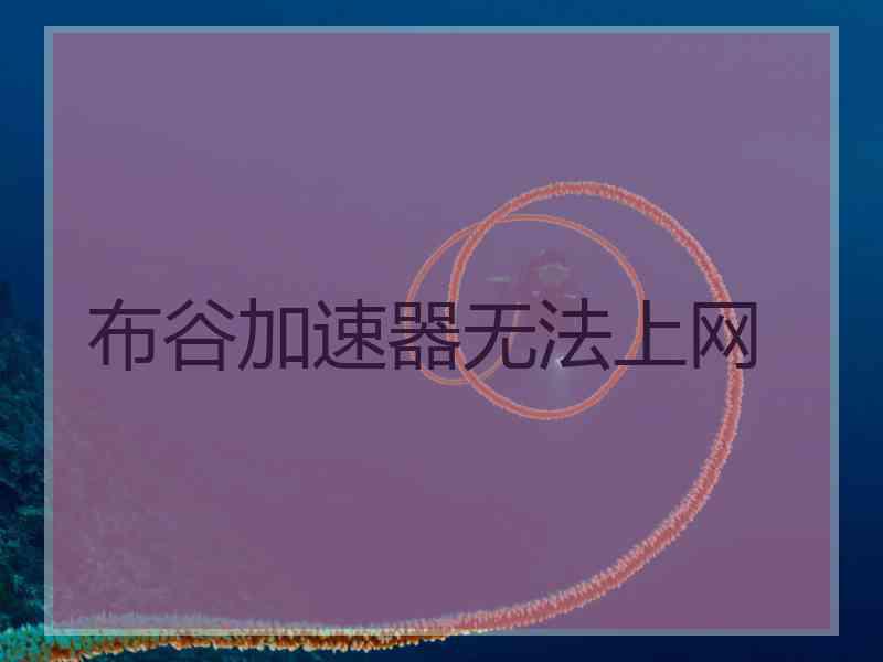 布谷加速器无法上网