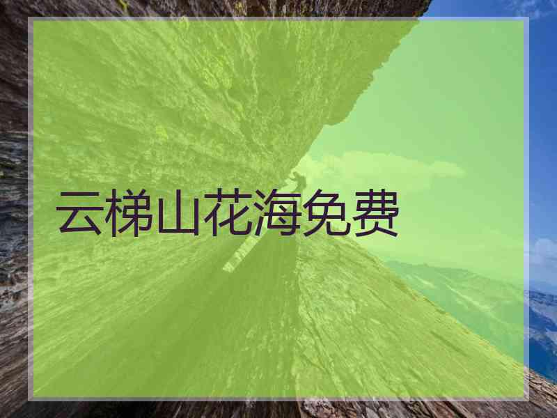 云梯山花海免费