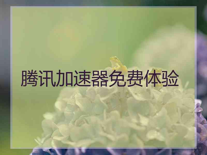 腾讯加速器免费体验