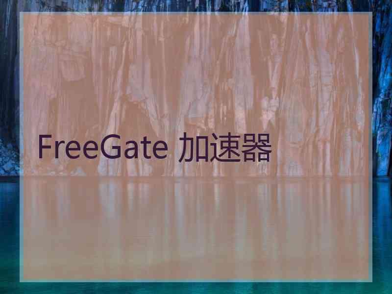 FreeGate 加速器