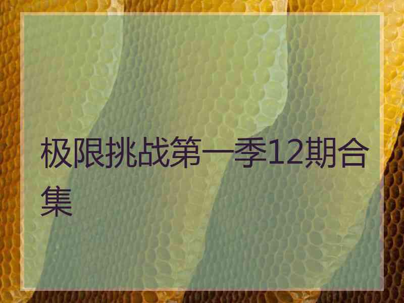 极限挑战第一季12期合集