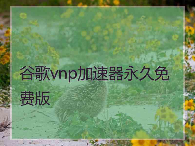 谷歌vnp加速器永久免费版