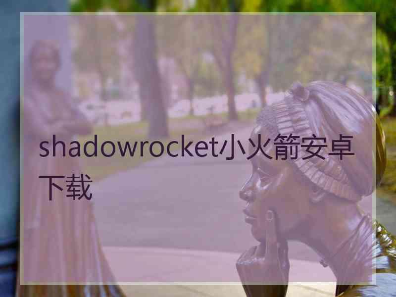 shadowrocket小火箭安卓下载