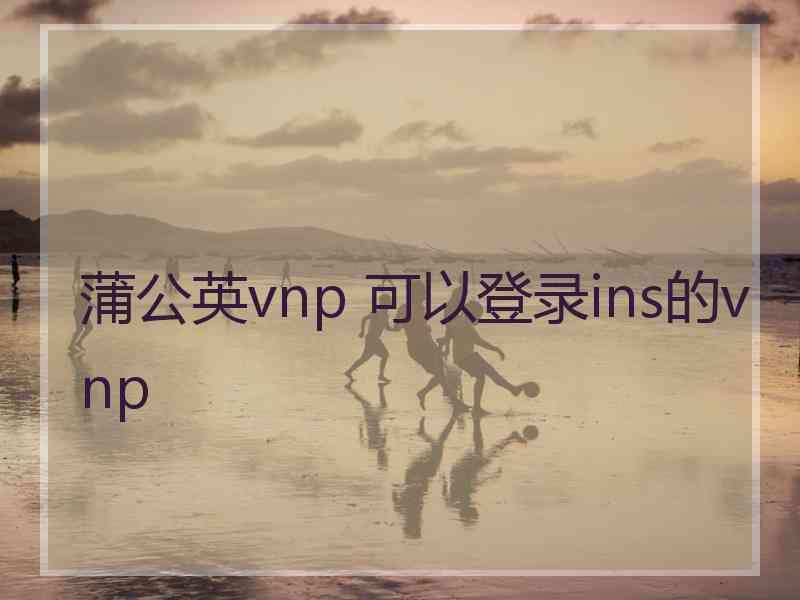 蒲公英vnp 可以登录ins的vnp