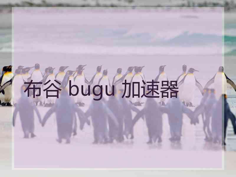 布谷 bugu 加速器