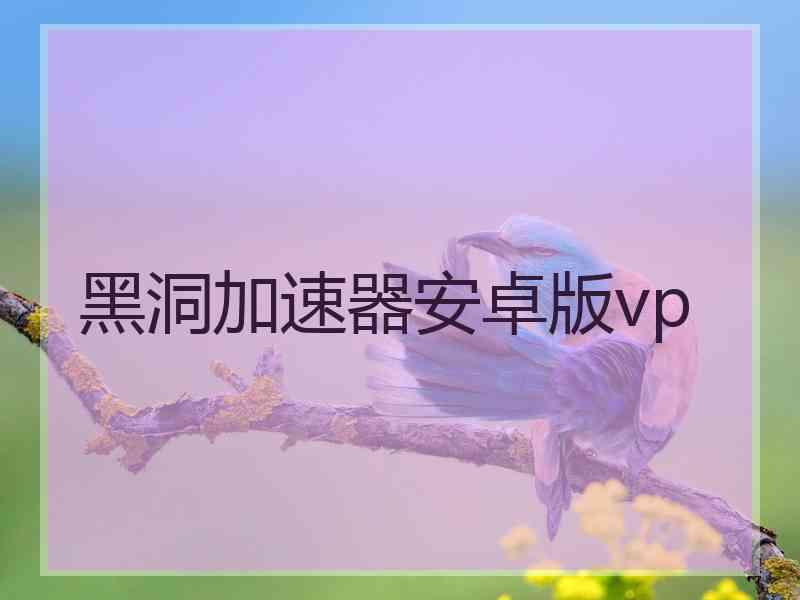黑洞加速器安卓版vp