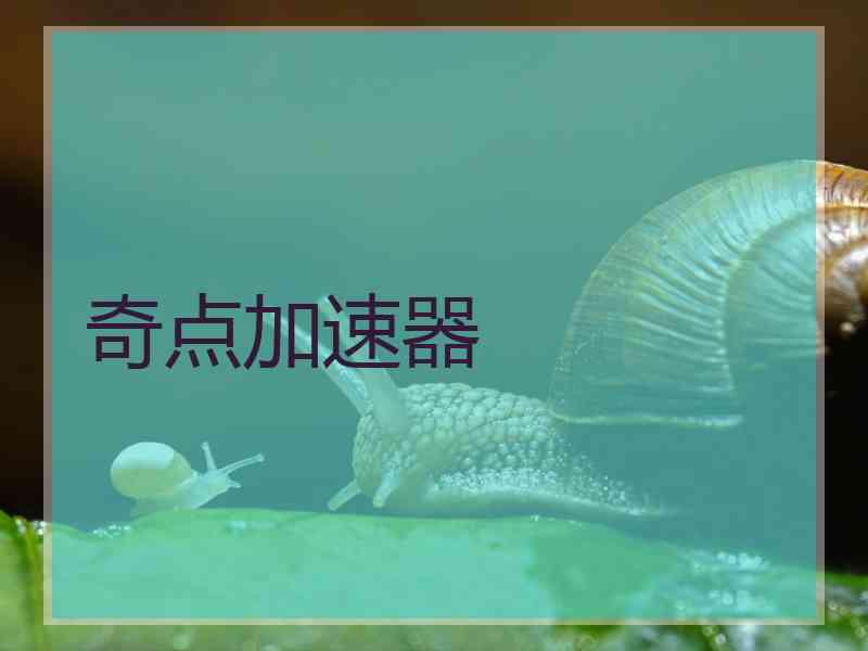 奇点加速器