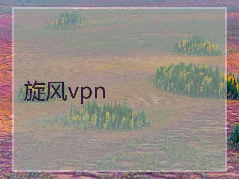 旋风vpn