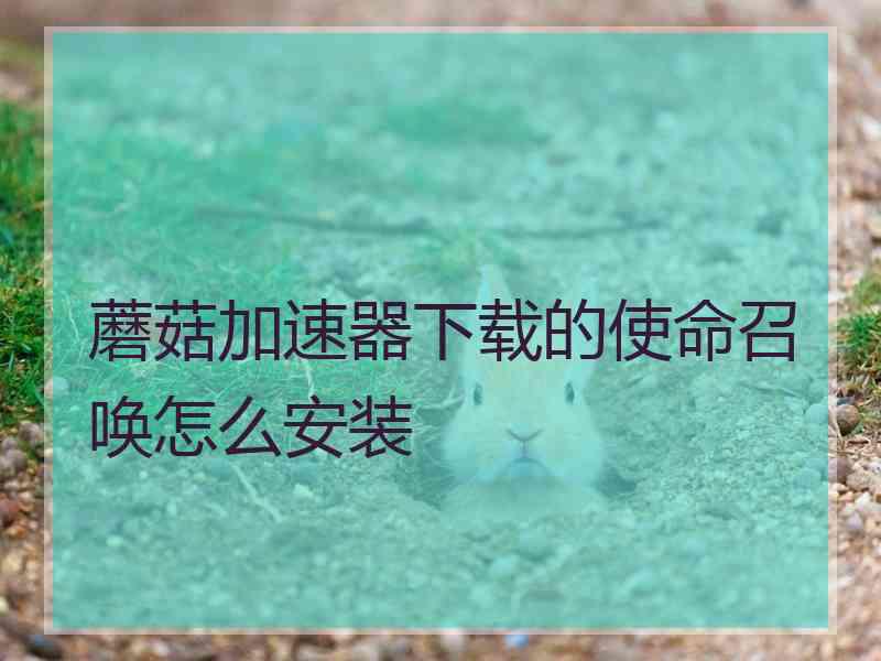 蘑菇加速器下载的使命召唤怎么安装