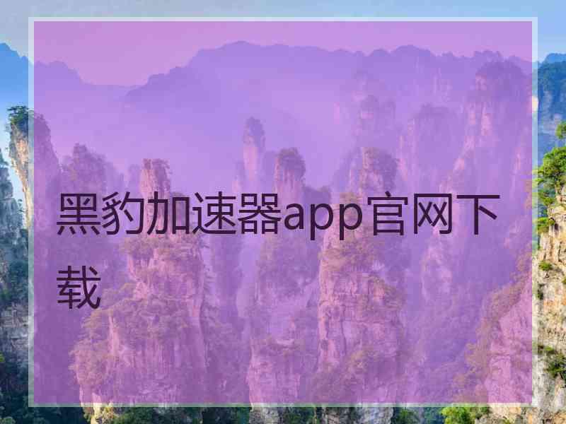 黑豹加速器app官网下载