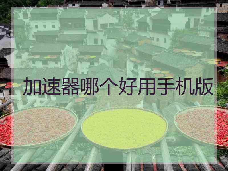 加速器哪个好用手机版