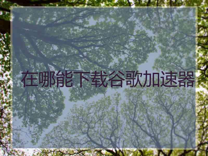 在哪能下载谷歌加速器