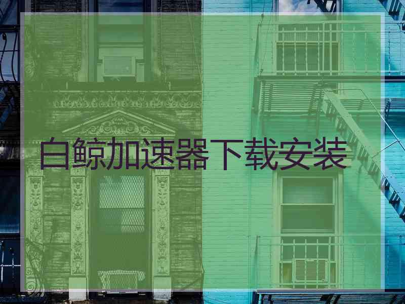白鲸加速器下载安装