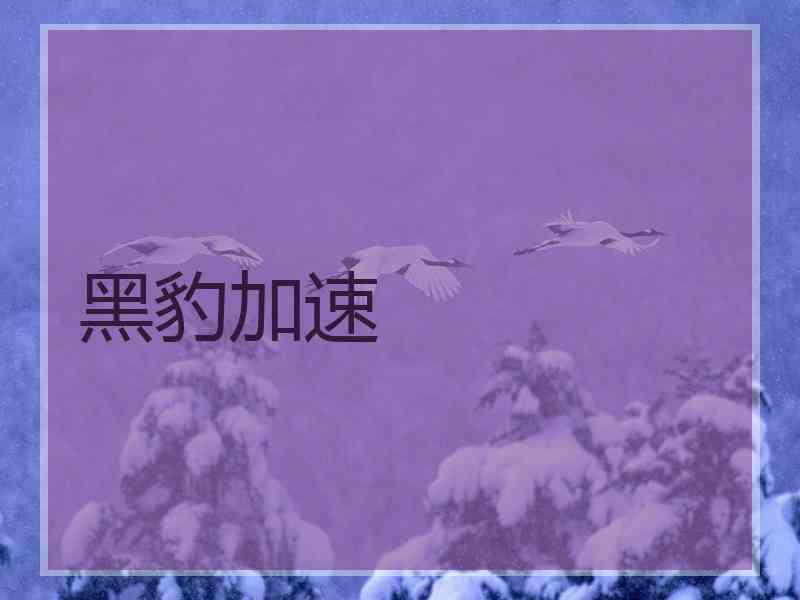 黑豹加速