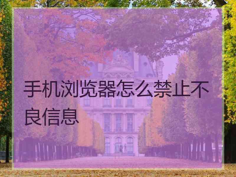 手机浏览器怎么禁止不良信息