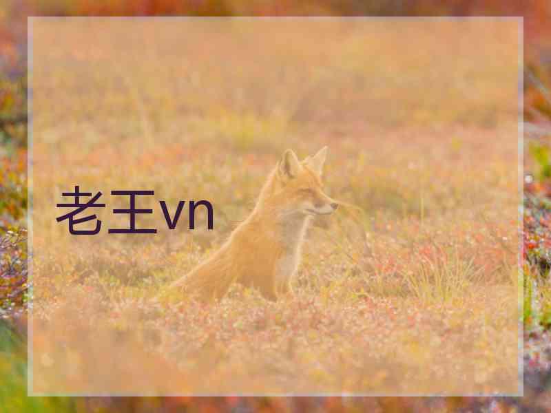 老王vn