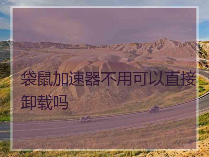 袋鼠加速器不用可以直接卸载吗