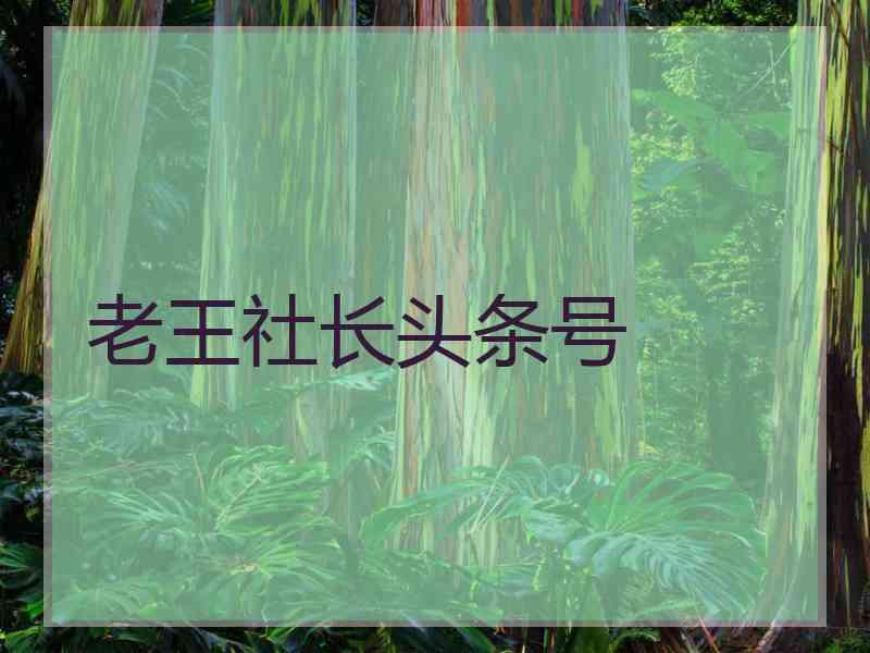 老王社长头条号
