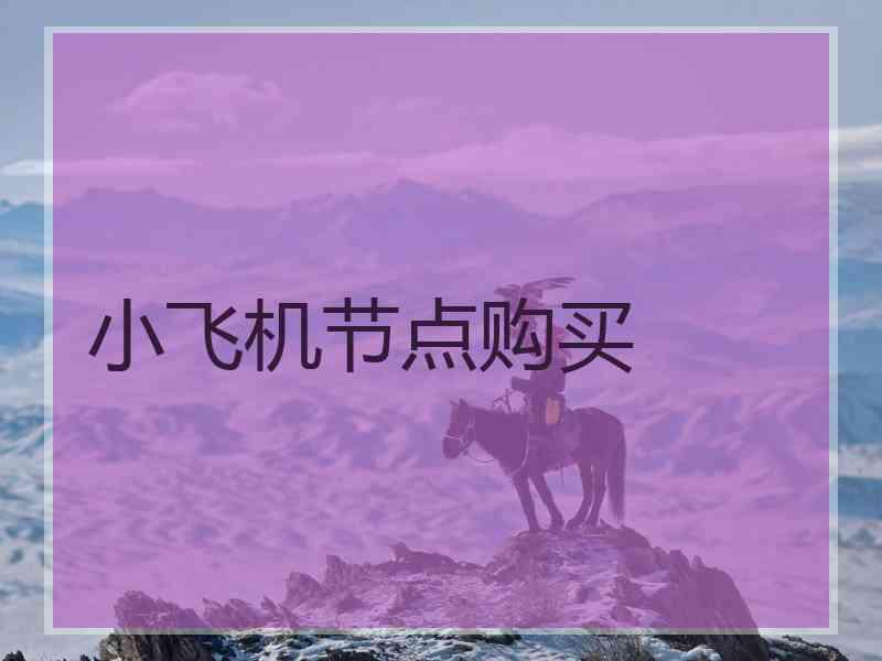 小飞机节点购买