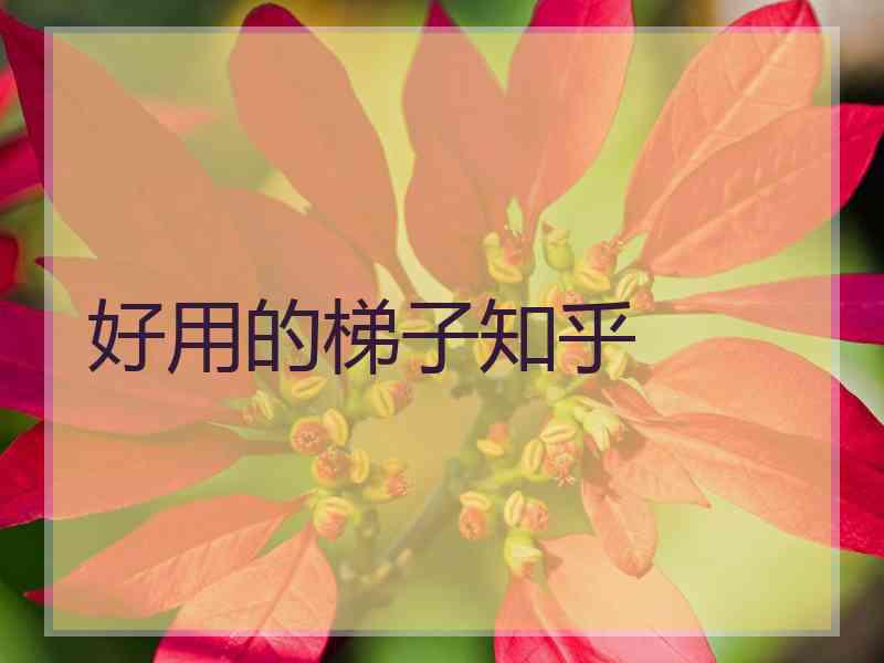好用的梯子知乎