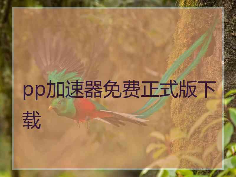 pp加速器免费正式版下载