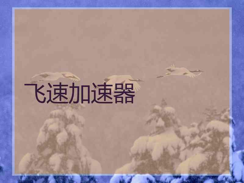 飞速加速器