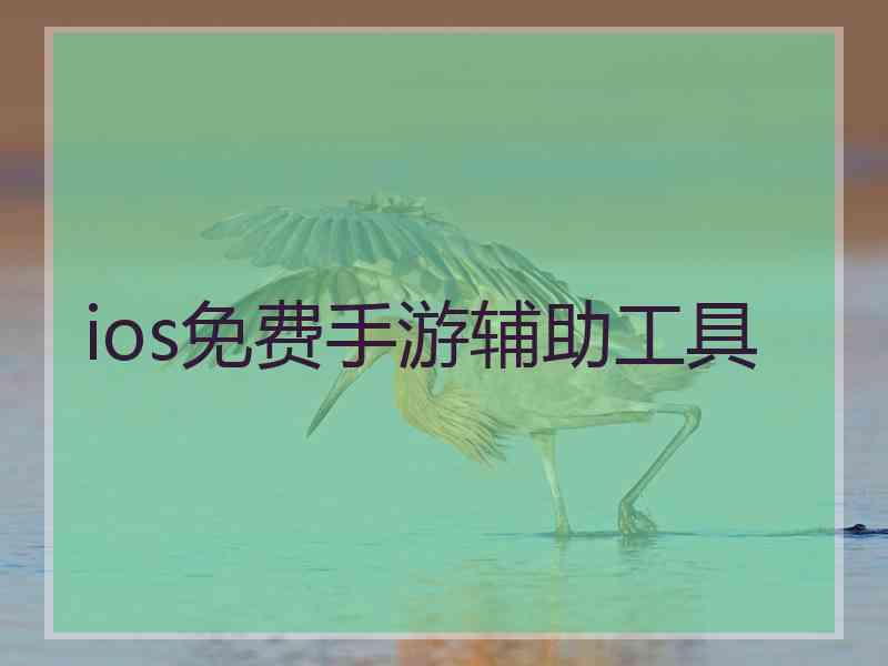 ios免费手游辅助工具