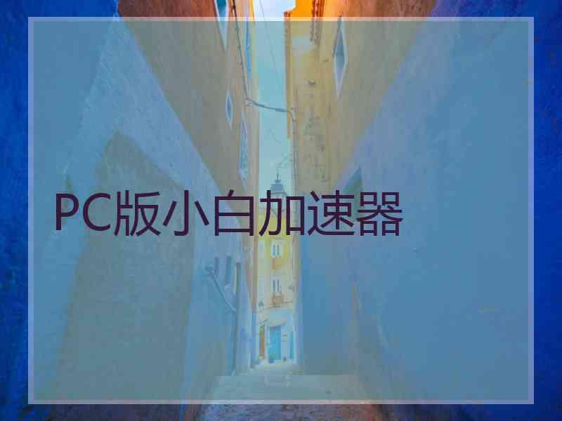 PC版小白加速器