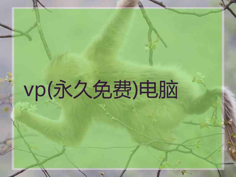 vp(永久免费)电脑