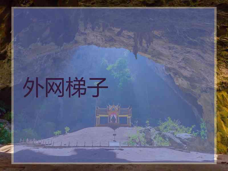 外网梯子