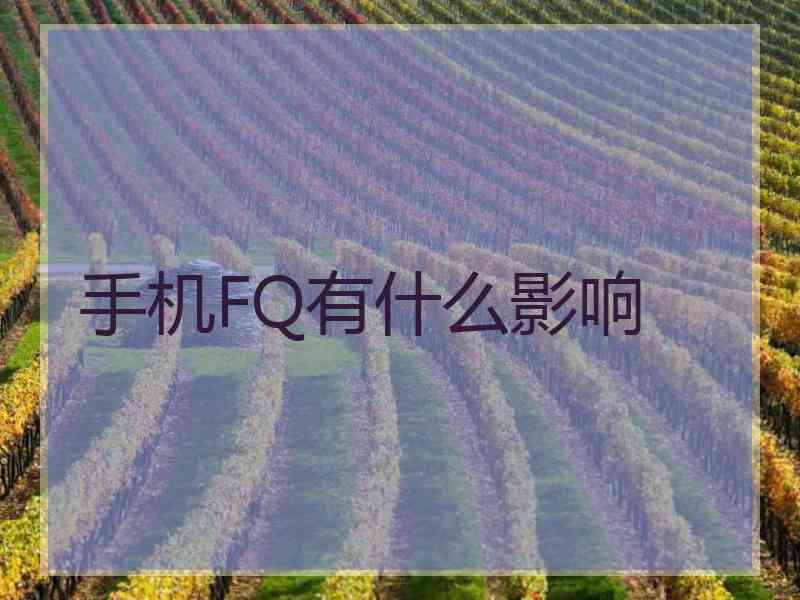 手机FQ有什么影响