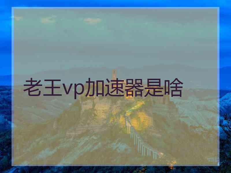 老王vp加速器是啥