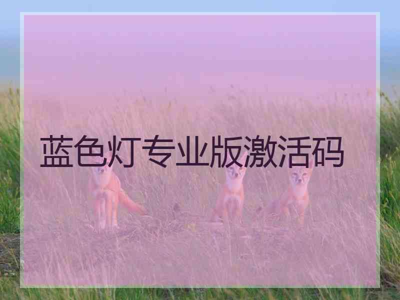 蓝色灯专业版激活码