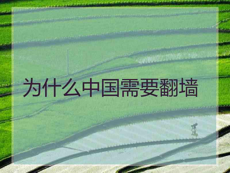 为什么中国需要翻墙
