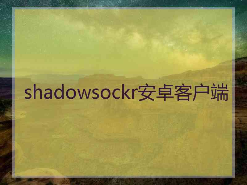 shadowsockr安卓客户端