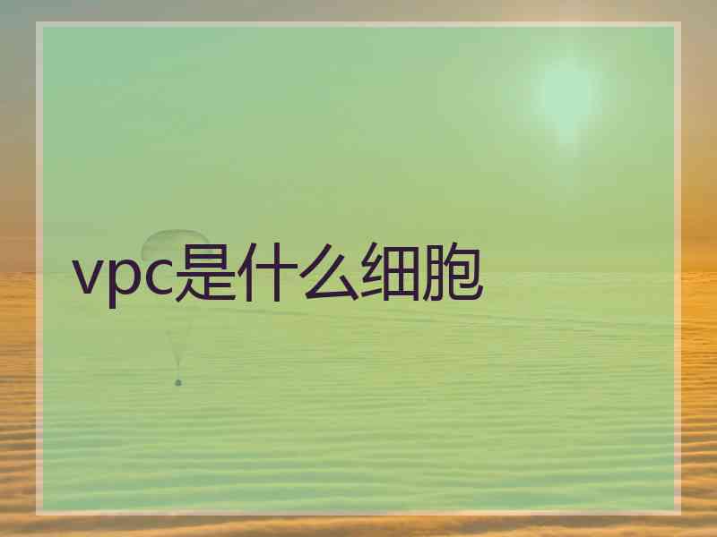 vpc是什么细胞