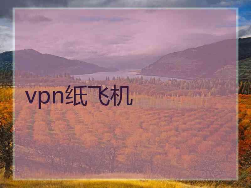vpn纸飞机