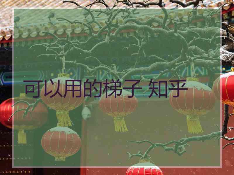 可以用的梯子 知乎
