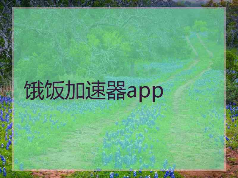 饿饭加速器app