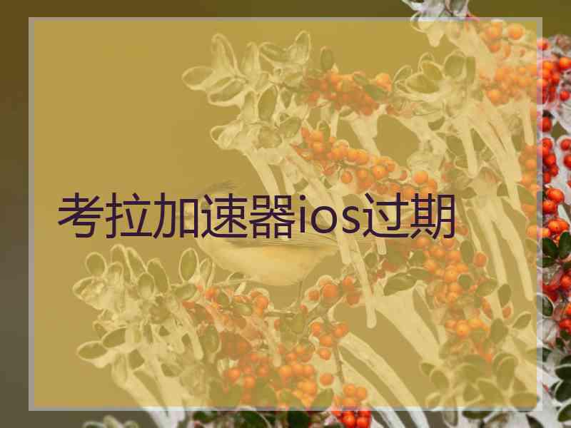 考拉加速器ios过期