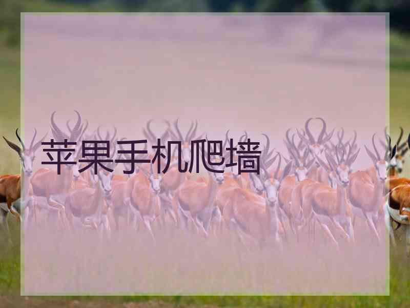 苹果手机爬墙