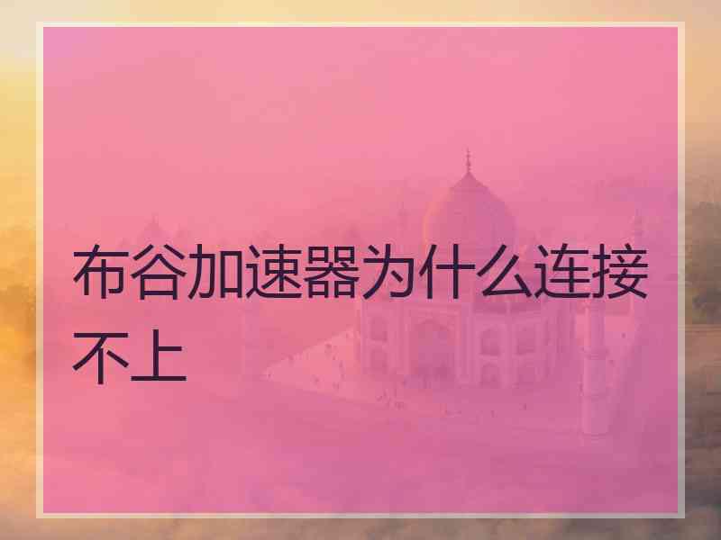 布谷加速器为什么连接不上