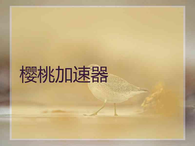 樱桃加速器