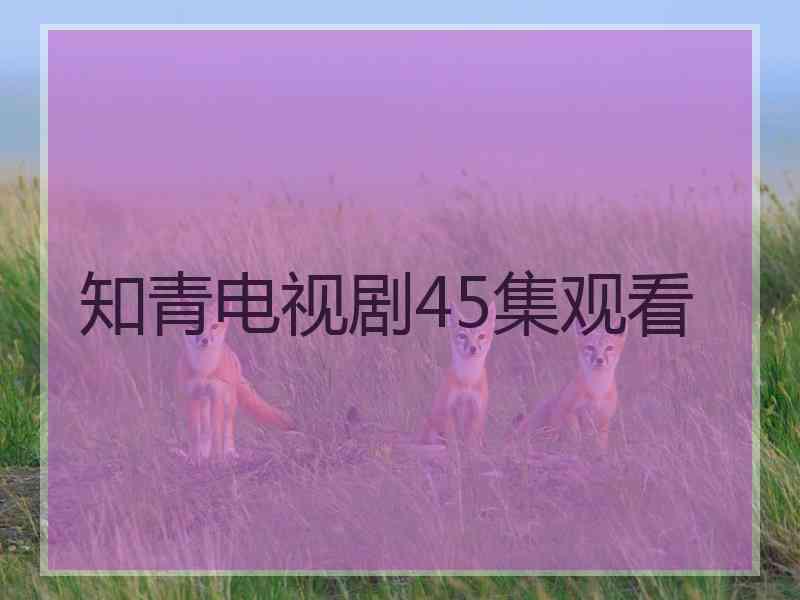 知青电视剧45集观看