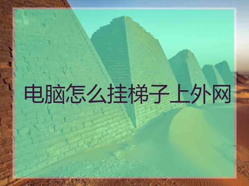 电脑怎么挂梯子上外网